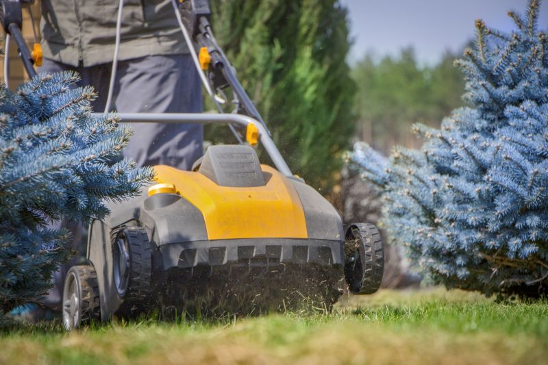 Lawn Aerating