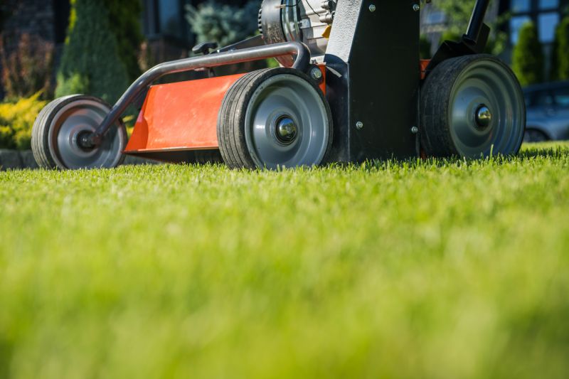 Lawn Aerating