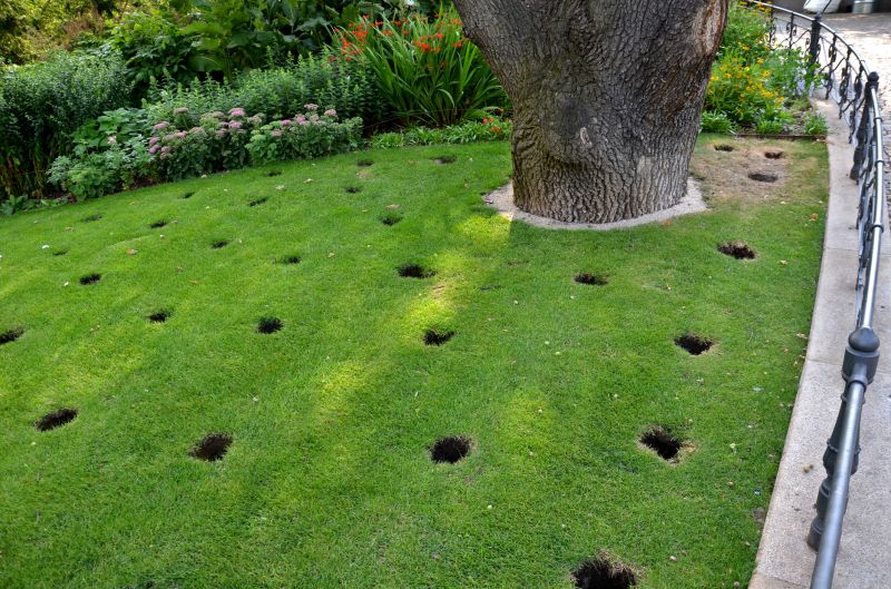 Lawn Aerating